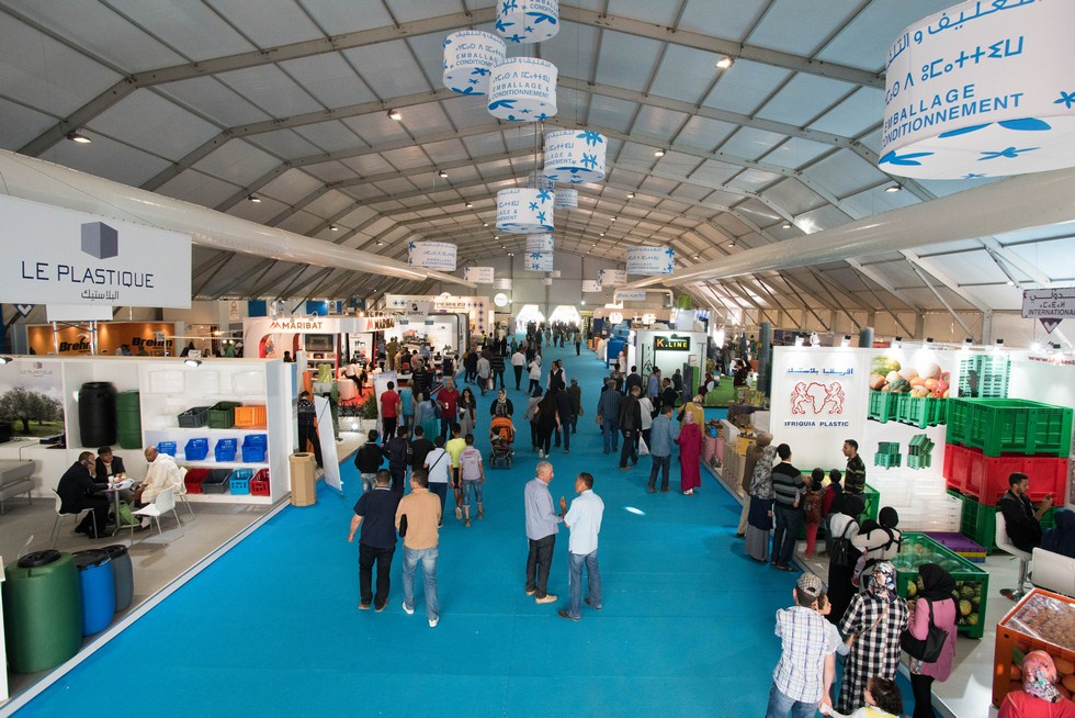 ZEOCEL PRESENTE NO SIAM - SAL